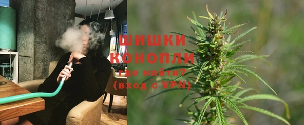 ПСИЛОЦИБИНОВЫЕ ГРИБЫ Каменка