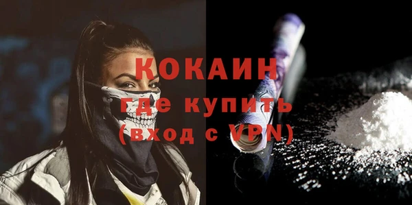 ПСИЛОЦИБИНОВЫЕ ГРИБЫ Каменка