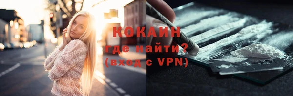 ПСИЛОЦИБИНОВЫЕ ГРИБЫ Каменка