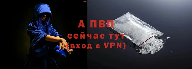 ПСИЛОЦИБИНОВЫЕ ГРИБЫ Каменка