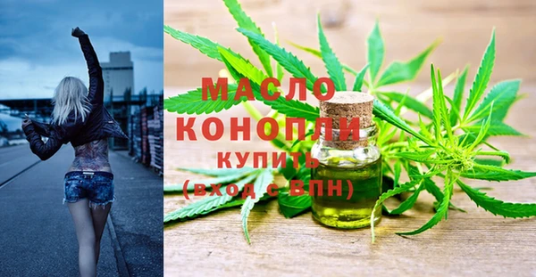 ПСИЛОЦИБИНОВЫЕ ГРИБЫ Каменка