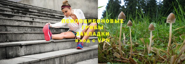 бошки Каменск-Шахтинский