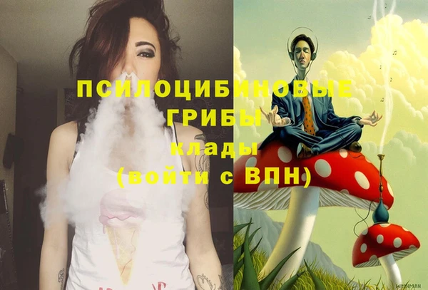 бошки Каменск-Шахтинский
