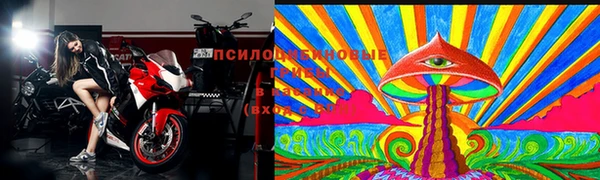 2c-b Каменногорск