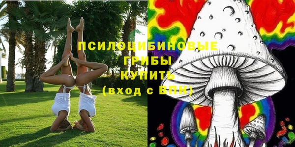 бошки Каменск-Шахтинский