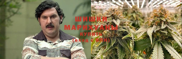 2c-b Каменногорск