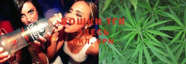 ПСИЛОЦИБИНОВЫЕ ГРИБЫ Каменка