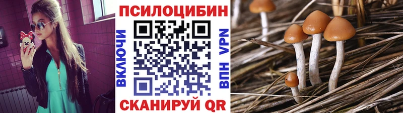 Галлюциногенные грибы ЛСД  Купить  Зерноград 